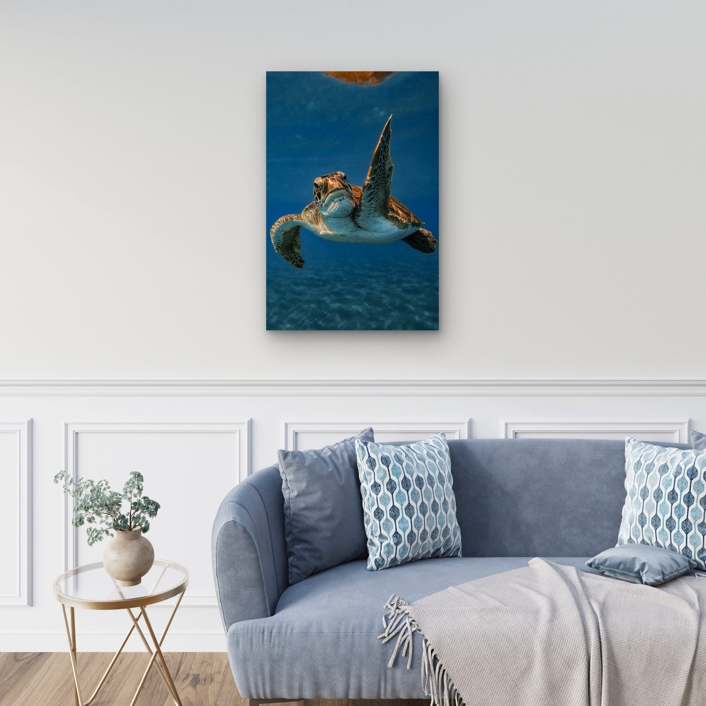 Green Sea Turtle Swimming In The Ocean 40x60cm Metal Print Ready to Hang