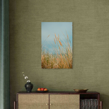 Marram Grass In Coastal Sand Dunes 40x60cm Metal Print Ready to Hang