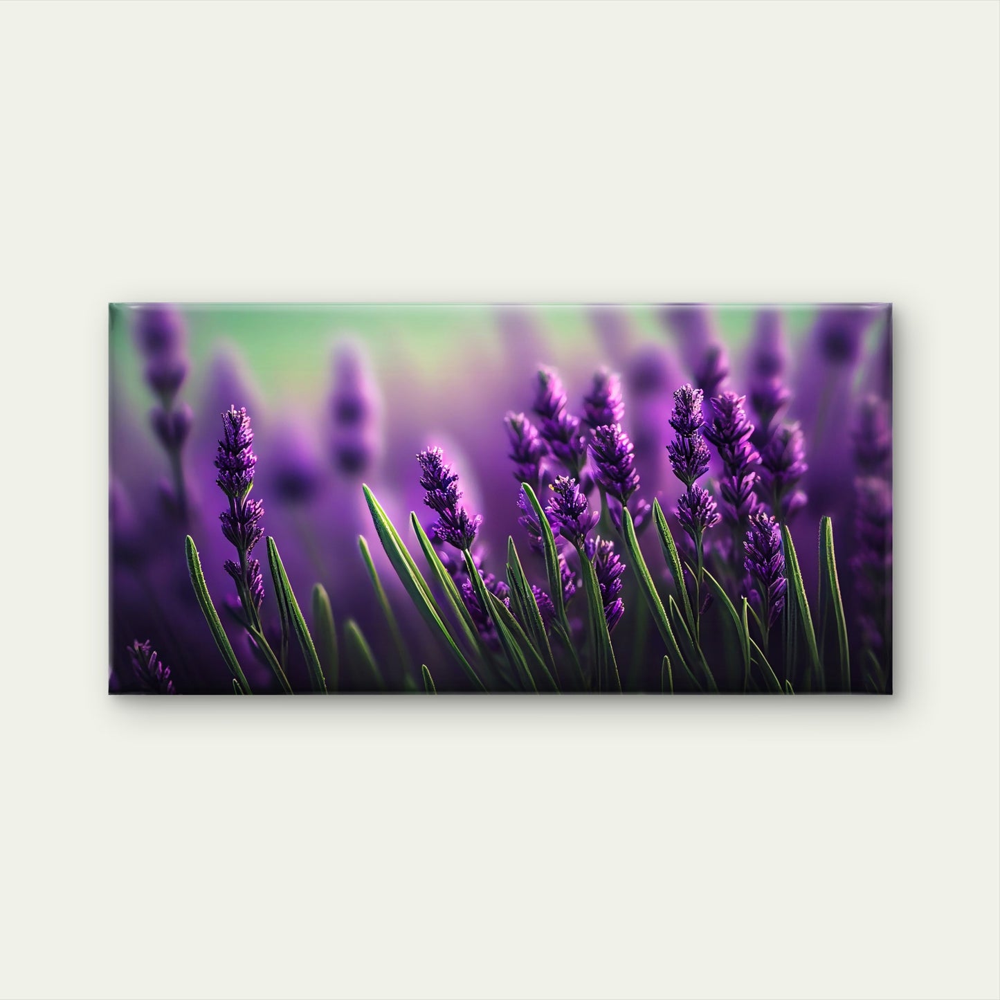 Vibrant Purple Lavender Field Wall Art Canvas Office Home Room Framed 120x60cm