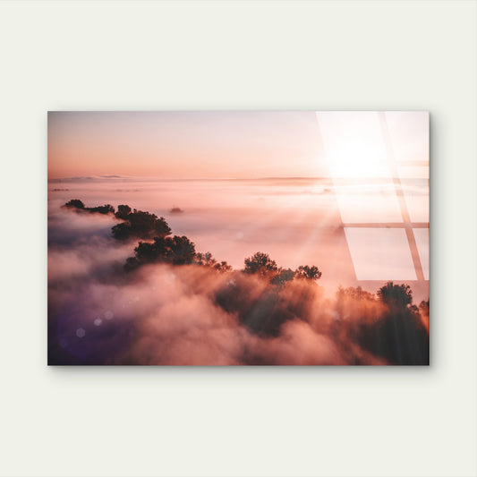 Misty Rose Sunrise Tree Canopy Acrylic Glass Printing Wall Art Australian Made Quality