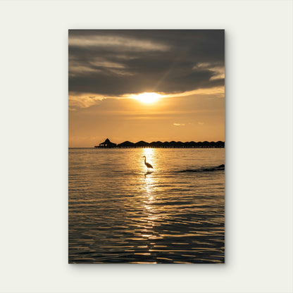 Heron Silhouetted Against A Golden Sunset 60x90cm Metal Print Ready to Hang