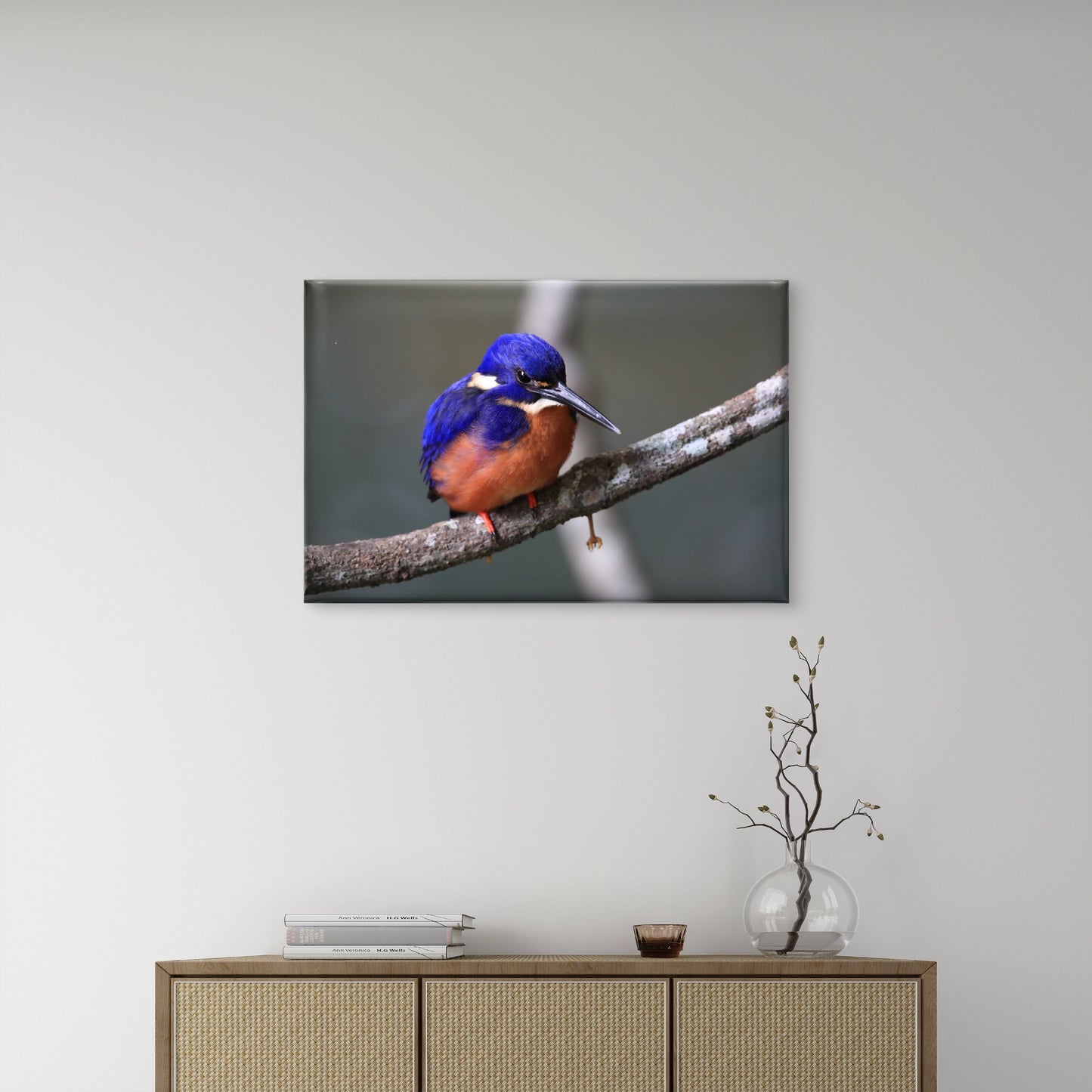 Azure Kingfisher Queensland Wall Art Decor 100% Australian Made