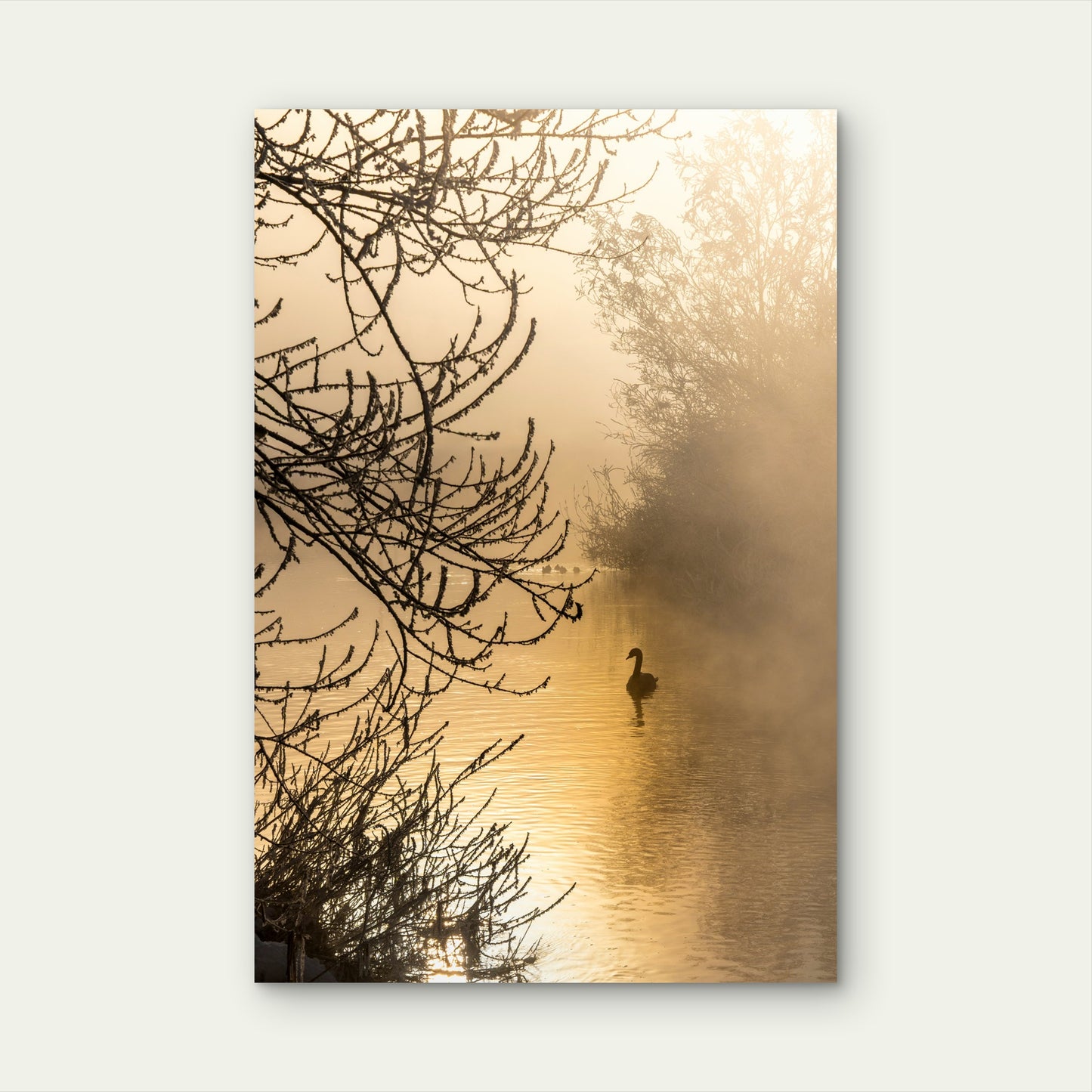 Serene Frosty Sunrise over Misty River 40x60cm Metal Print Ready to Hang