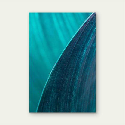 Cigar Flower Leaf 60x90cm Metal Print Ready to Hang