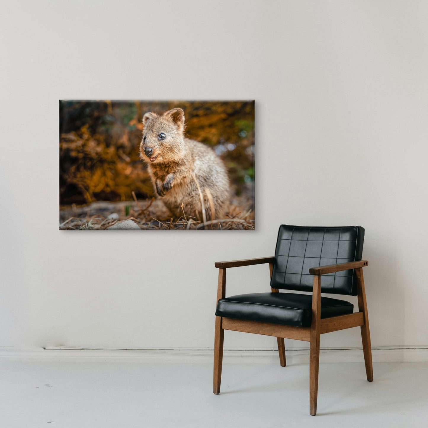 Quokka Western Australia Wall Art Decor 100% Australian Made