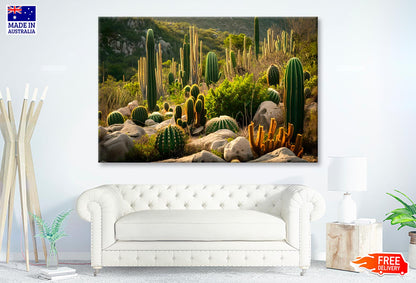 Captivating Landscape of Cacti in Mexico Wall Art Decor 100% Australian Made