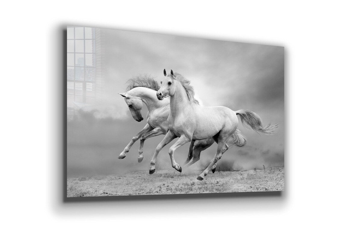 Running Horses B&W UV Direct Aluminum Print Australian Made Quality