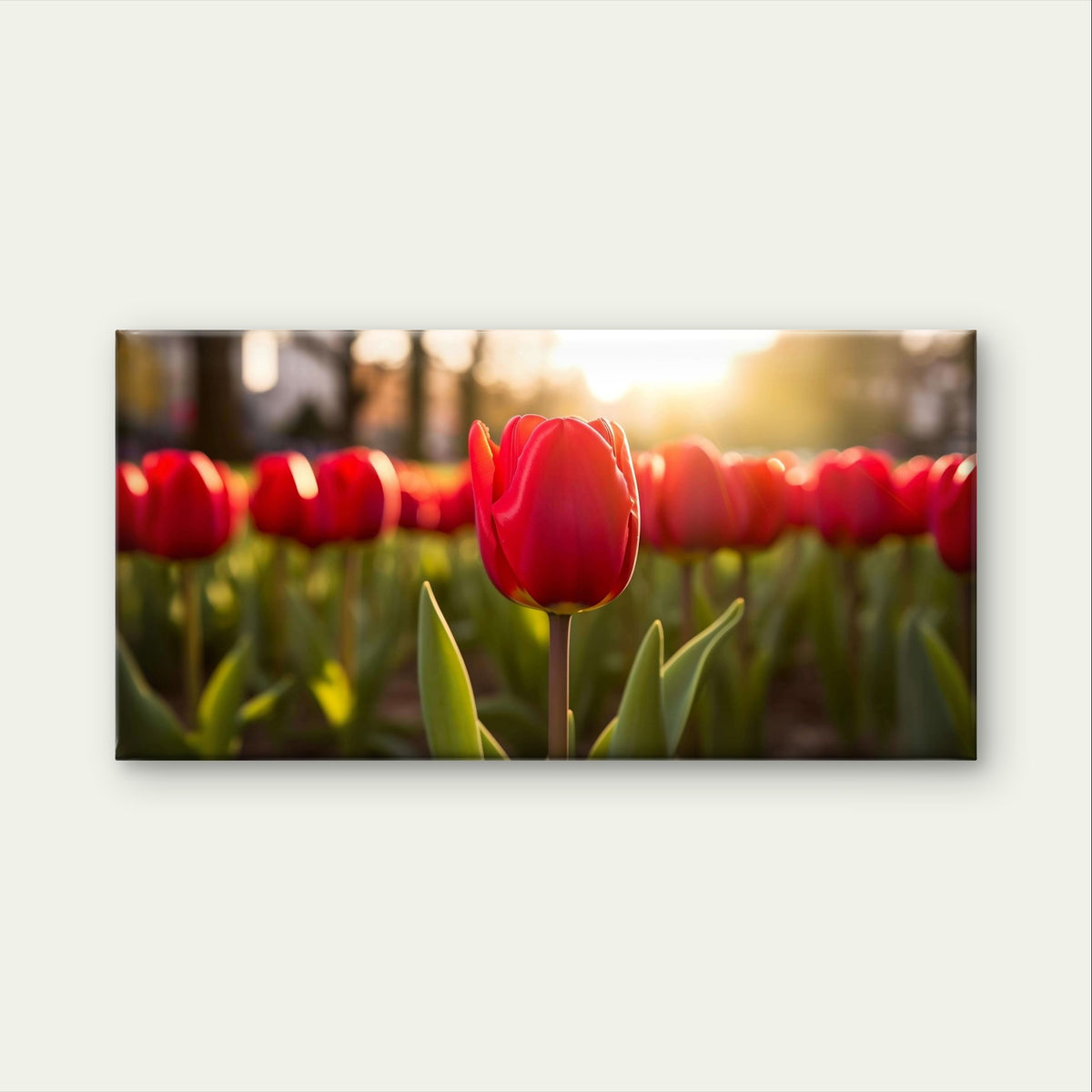 Red Tulips Flower Garden Spring Sunrise Wall Art Canvas Office Home Framed 120x60cm - Bella Home Decor