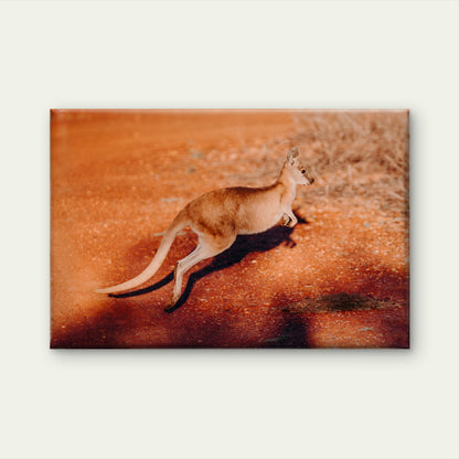 Kangaroo Wallaby Kimberley Station Wall Art Decor 100% Australian Made