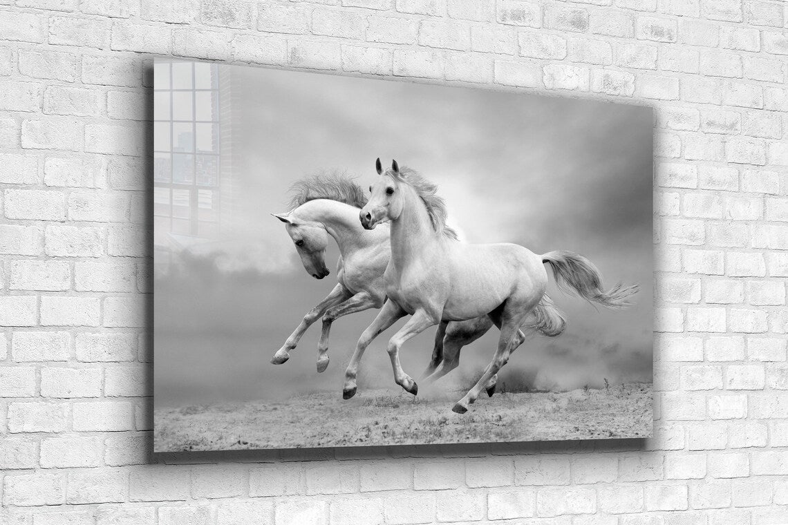 Running Horses B&W UV Direct Aluminum Print Australian Made Quality