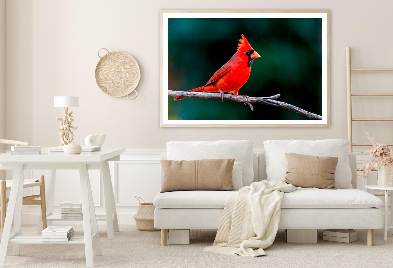 Northern Cardinal Home Decor Premium Quality Poster Print Choose Your Sizes