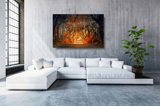 Ireland The Dark Hedges Acrylic Glass Print Tempered Glass Wall Art 100% Made in Australia Ready to Hang