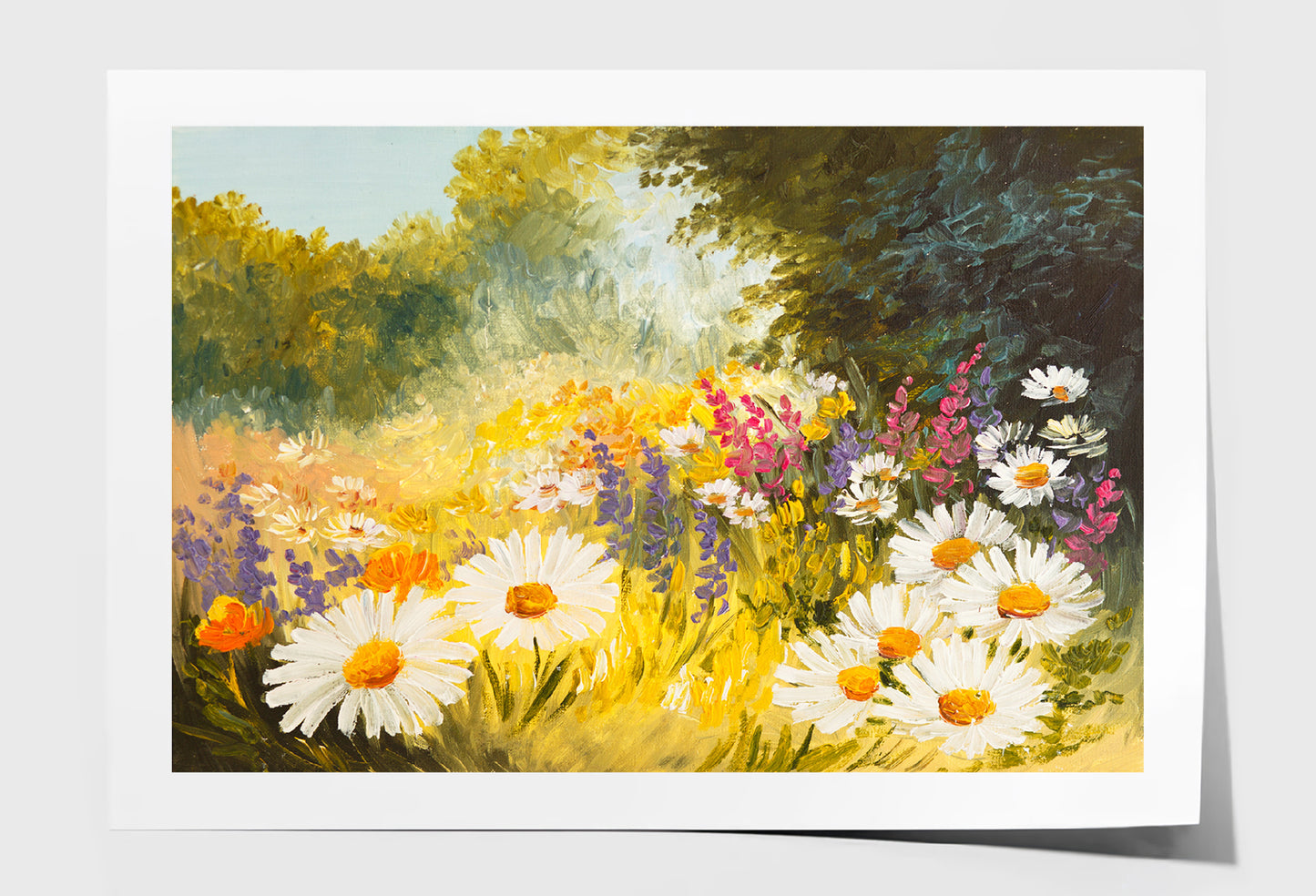 Field Of Daisies Green Forest Oil Painting Limited Edition High Quality Print Unframed Roll Canvas None