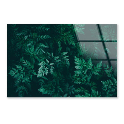 Green Plant with Leaves Acrylic Glass Print Tempered Glass Wall Art 100% Made in Australia Ready to Hang