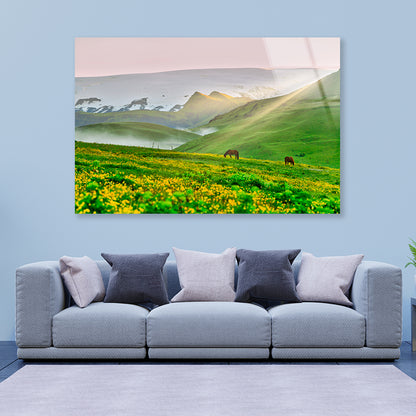 Two Horses Surrounded By Grasslands in Iceland Acrylic Glass Print Tempered Glass Wall Art 100% Made in Australia Ready to Hang