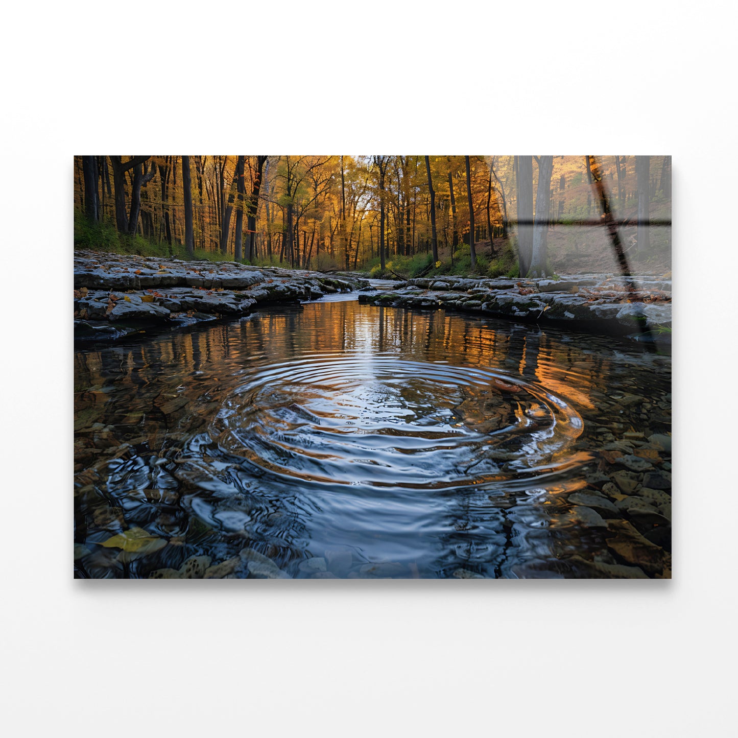 Autumn in the Woods Acrylic Glass Print Tempered Glass Wall Art 100% Made in Australia Ready to Hang - Bella Home Decor