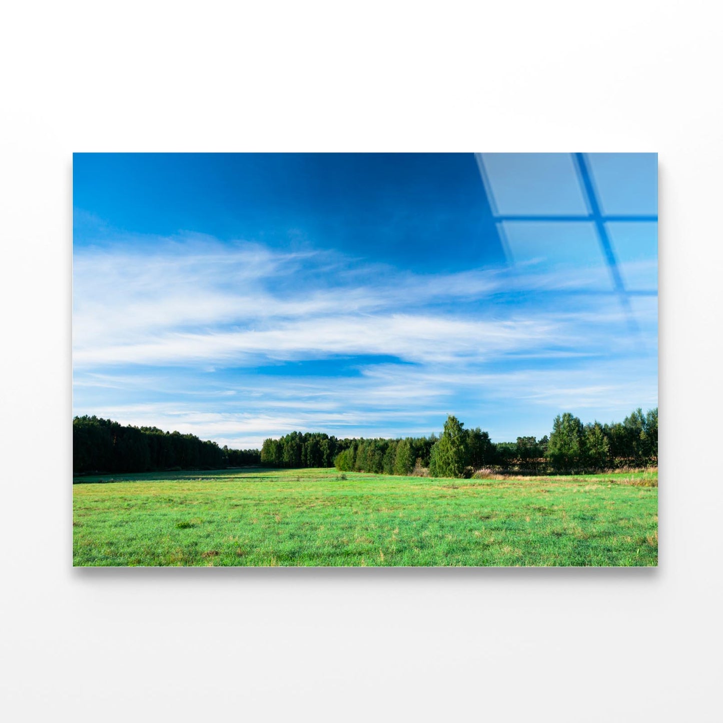 Tranquil Grassland at Sunrise Acrylic Glass Print Tempered Glass Wall Art 100% Made in Australia Ready to Hang