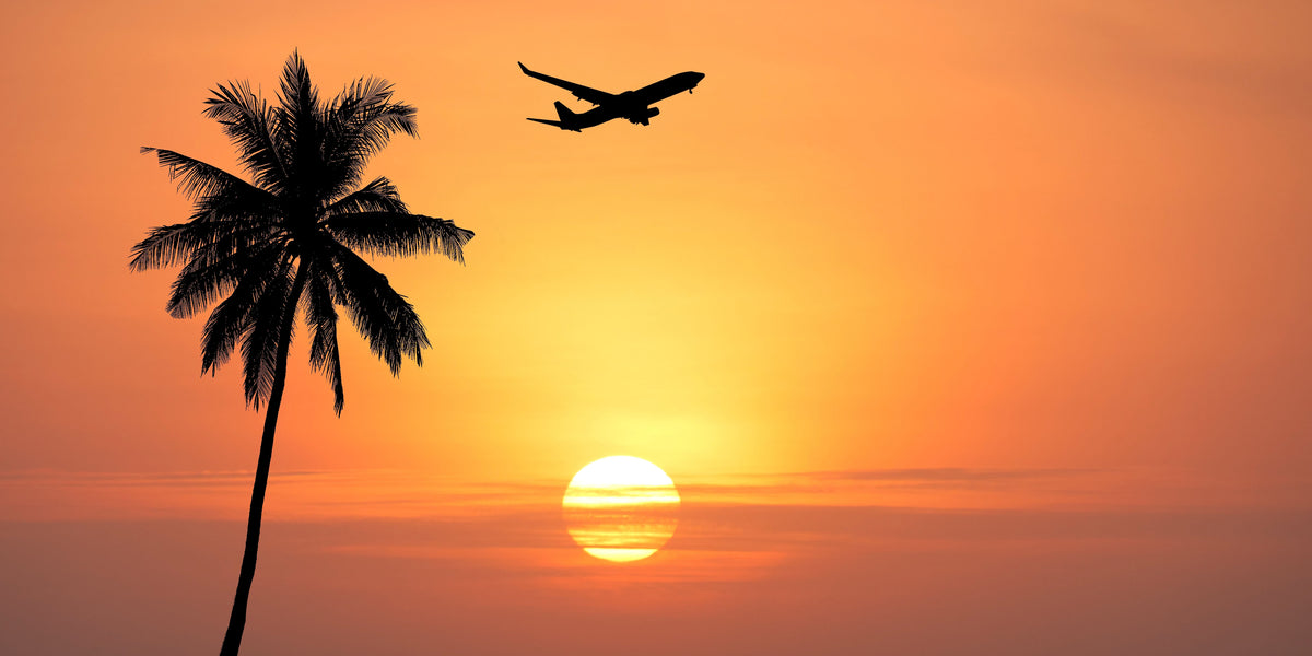 Tropical Airplane Sunset Palm Tree Sea Wall Art Canvas Office Home Framed 120x60cm