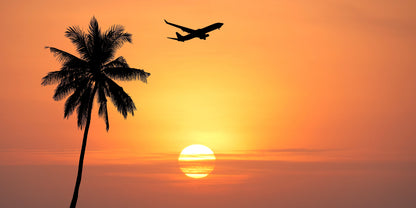 Tropical Airplane Sunset Palm Tree Sea Wall Art Canvas Office Home Framed 120x60cm