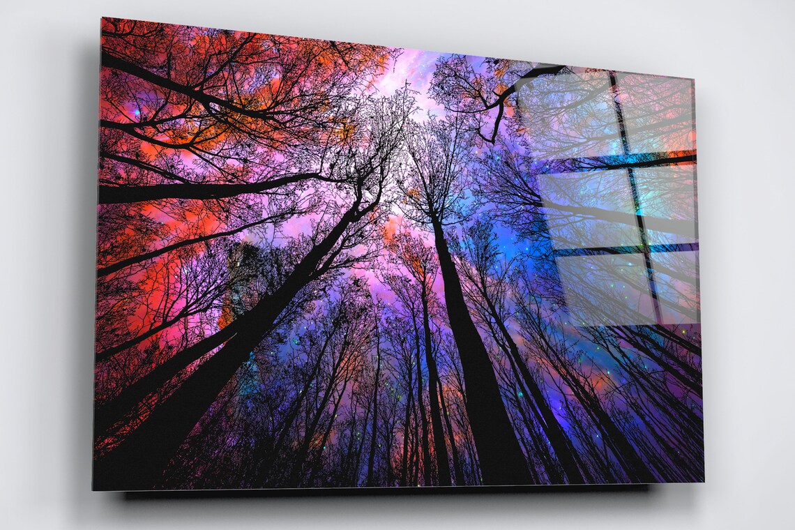 Tree Canopy Acrylic Glass Print Tempered Glass Wall Art 100% Made in Australia Ready to Hang