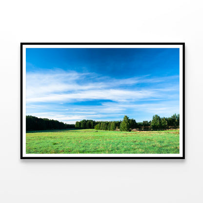 Tranquil Grassland at Sunrise Home Decor Premium Quality Poster Print Choose Your Sizes