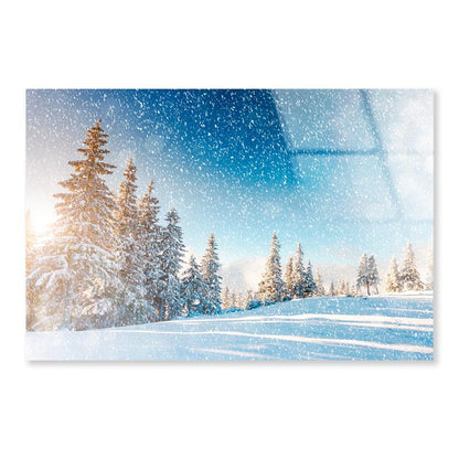 Dramatic Wintry Scene  Acrylic Glass Print Tempered Glass Wall Art 100% Made in Australia Ready to Hang