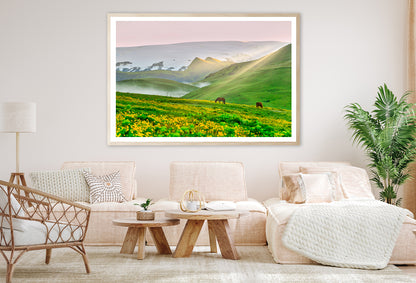 Two Horses Surrounded By Grasslands in Iceland Home Decor Premium Quality Poster Print Choose Your Sizes