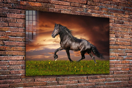 Horse in Grass Field UV Direct Aluminum Print Australian Made Quality