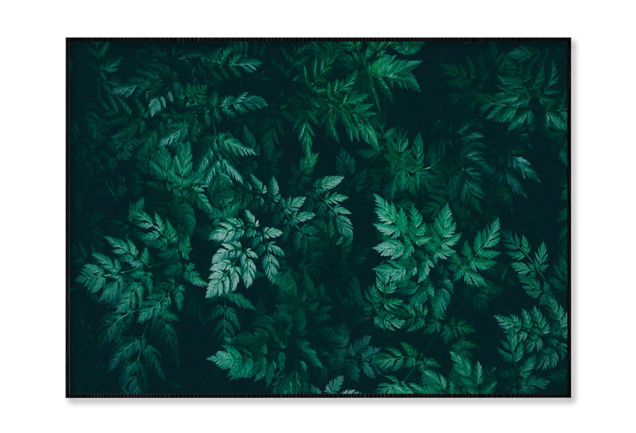 Green Plant with Leaves View Home Decor Premium Quality Poster Print Choose Your Sizes