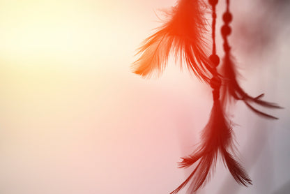 Red Color Feather Dream Catcher Print 100% Australian Made - Bella Home Decor