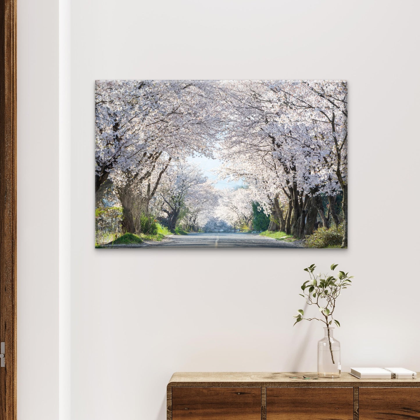 Beautiful cherry blossom road in full bloom, South Korea  Wall Art Decor 100% Australian Made