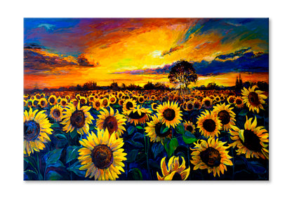 Sunflower Field Oil Painting Wall Art Limited Edition High Quality Print Stretched Canvas None