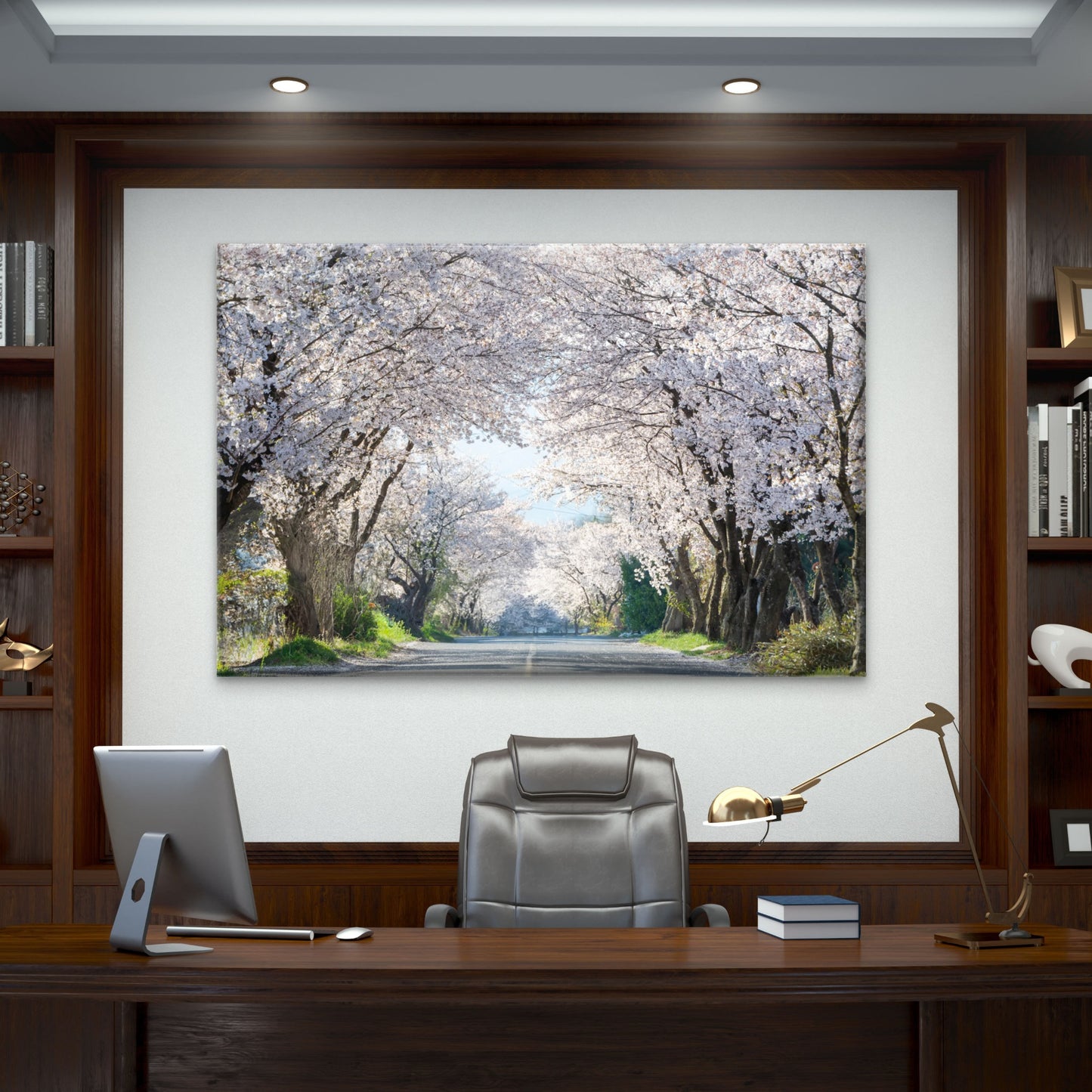 Beautiful cherry blossom road in full bloom, South Korea  Wall Art Decor 100% Australian Made
