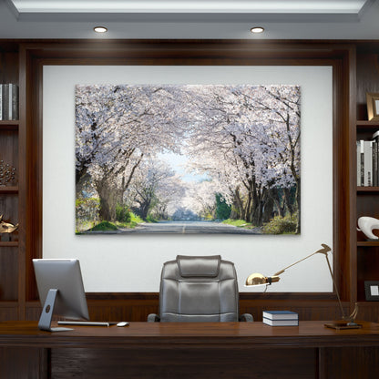 Beautiful cherry blossom road in full bloom, South Korea  Wall Art Decor 100% Australian Made