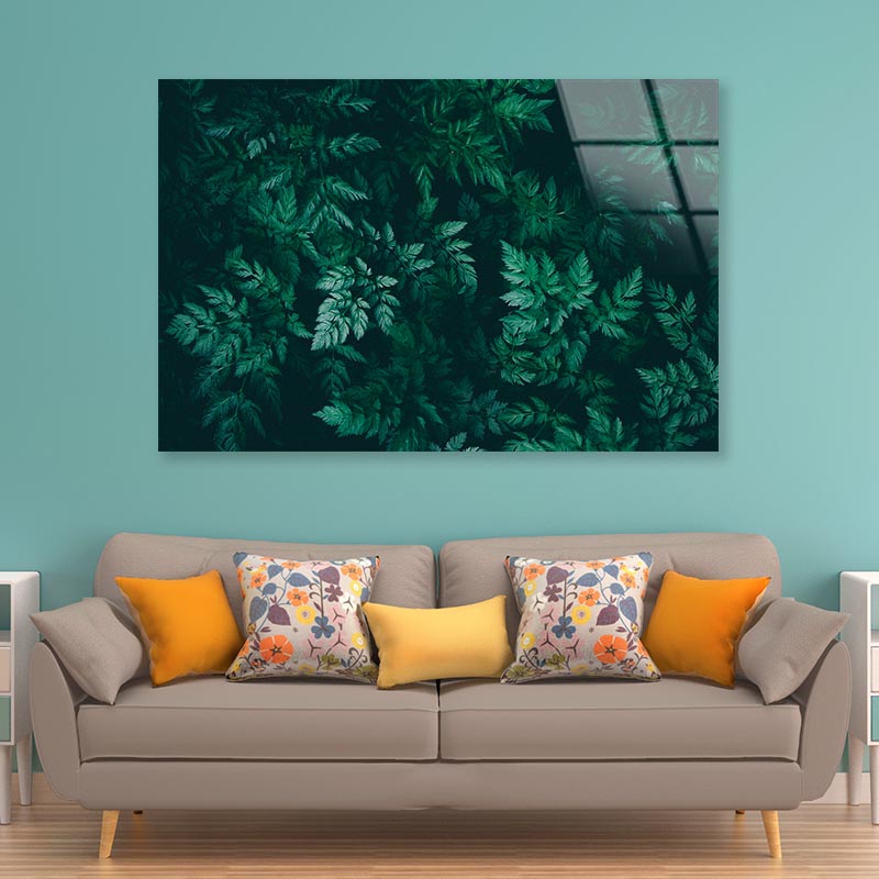 Green Plant with Leaves Acrylic Glass Print Tempered Glass Wall Art 100% Made in Australia Ready to Hang