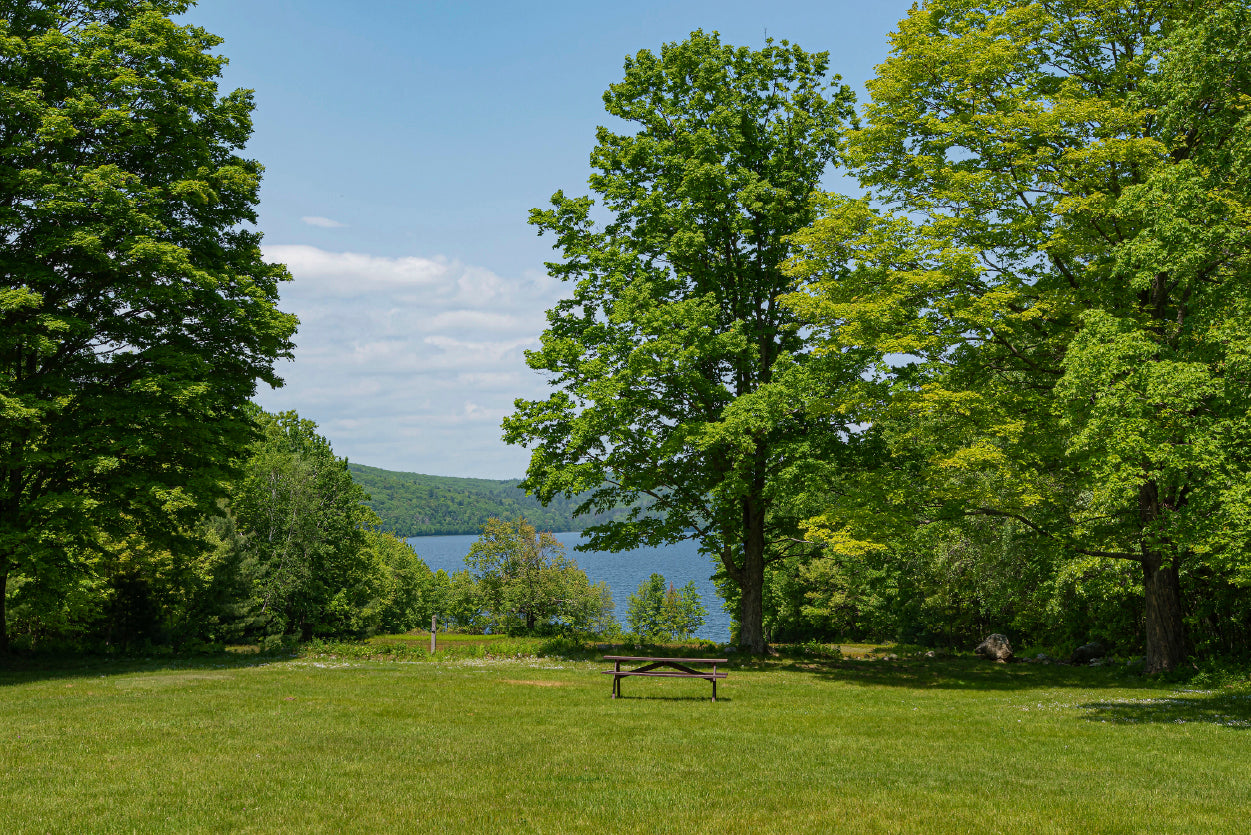 Picnic Table Located In Meadow with Lake Home Decor Premium Quality Poster Print Choose Your Sizes