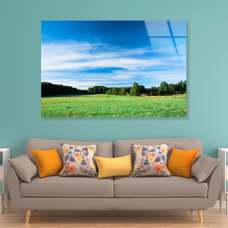 Tranquil Grassland at Sunrise Acrylic Glass Print Tempered Glass Wall Art 100% Made in Australia Ready to Hang