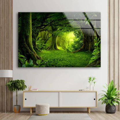 Green Deep Forest View UV Direct Aluminum Print Australian Made Quality