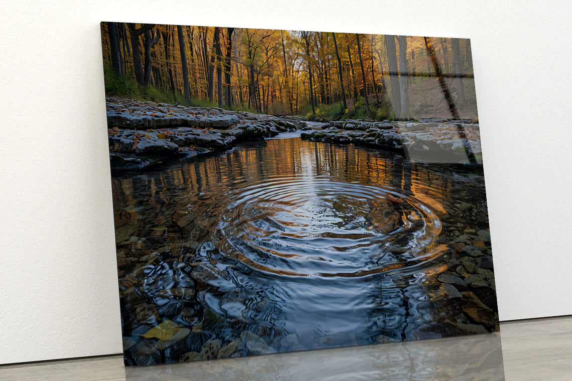 Autumn in the Woods Acrylic Glass Print Tempered Glass Wall Art 100% Made in Australia Ready to Hang - Bella Home Decor
