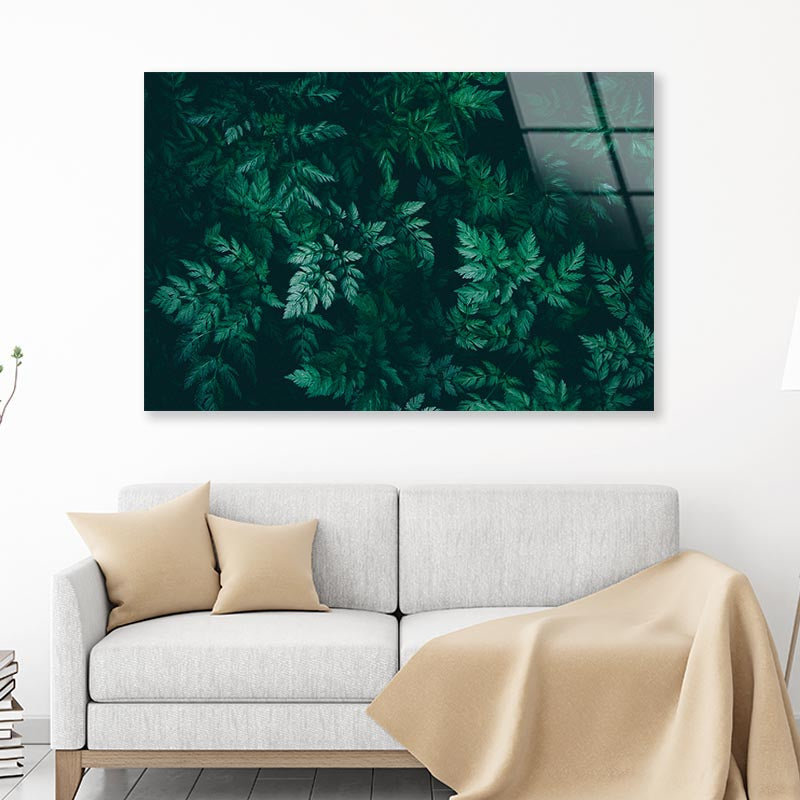 Green Plant with Leaves Acrylic Glass Print Tempered Glass Wall Art 100% Made in Australia Ready to Hang