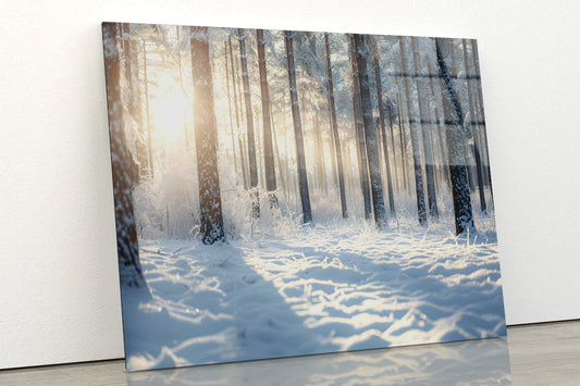 Snowy Forest with Trees Acrylic Glass Print Tempered Glass Wall Art 100% Made in Australia Ready to Hang