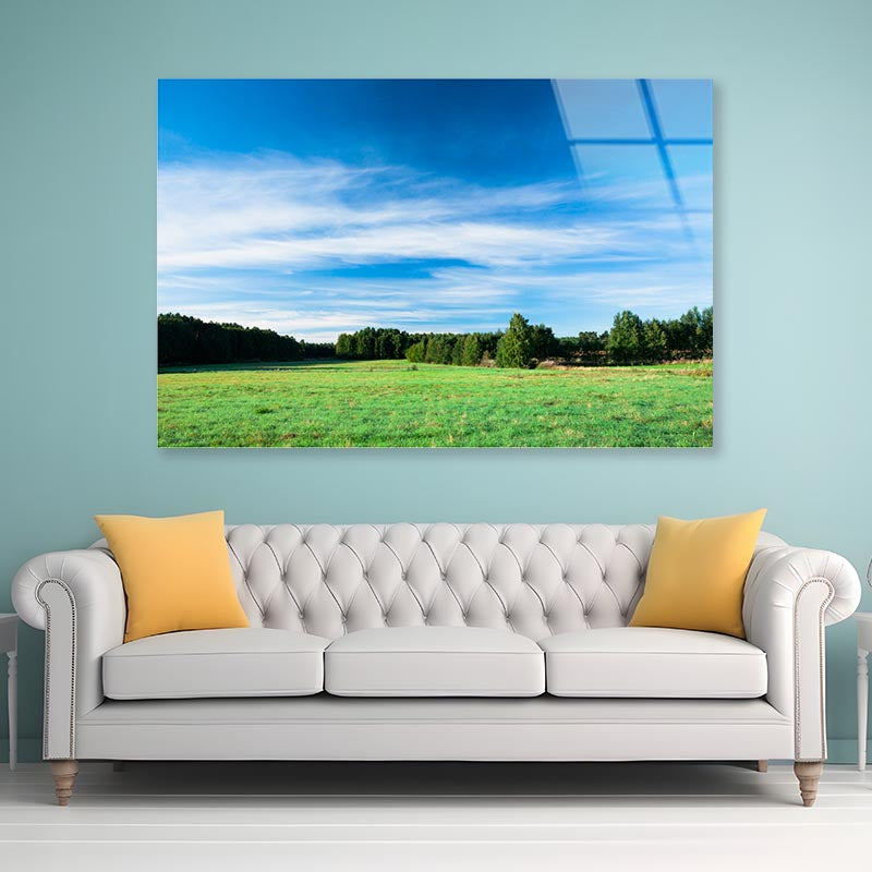 Tranquil Grassland at Sunrise Acrylic Glass Print Tempered Glass Wall Art 100% Made in Australia Ready to Hang