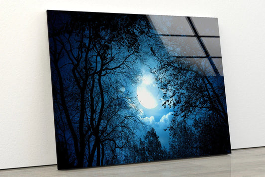 Forest Moon & Night Sky UV Direct Aluminum Print Australian Made Quality