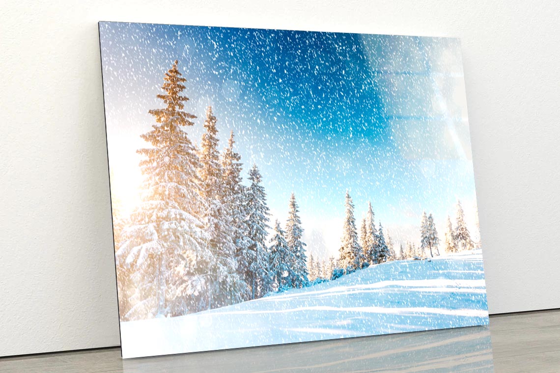 Dramatic Wintry Scene  Acrylic Glass Print Tempered Glass Wall Art 100% Made in Australia Ready to Hang