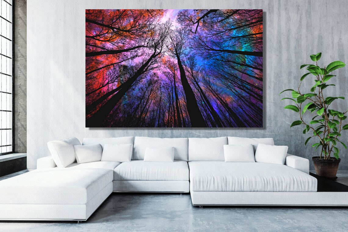 Tree Canopy Acrylic Glass Print Tempered Glass Wall Art 100% Made in Australia Ready to Hang