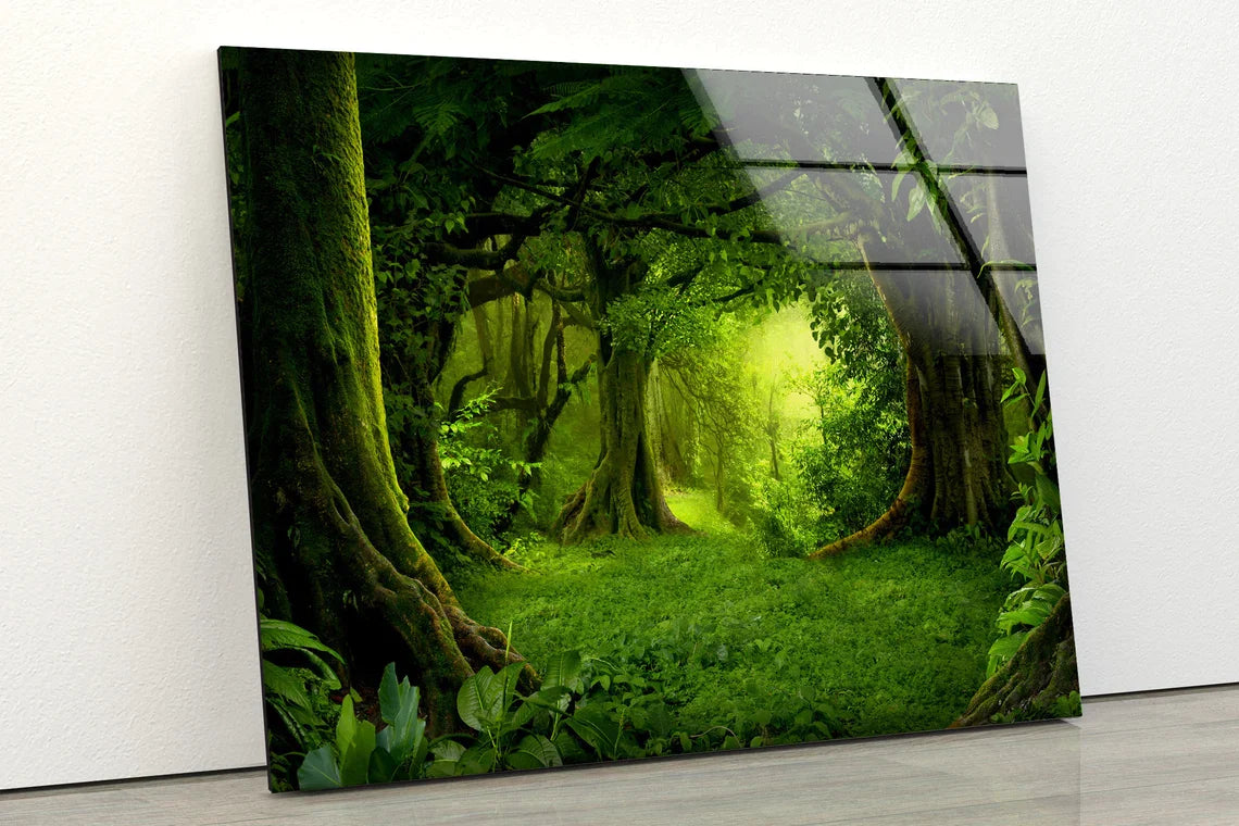 Green Deep Forest View UV Direct Aluminum Print Australian Made Quality