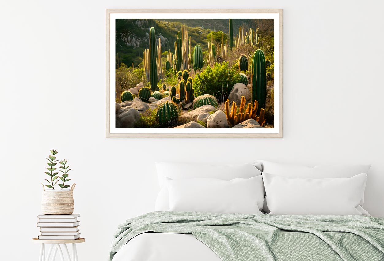 Captivating Landscape of Cacti in Mexico Home Decor Premium Quality Poster Print Choose Your Sizes