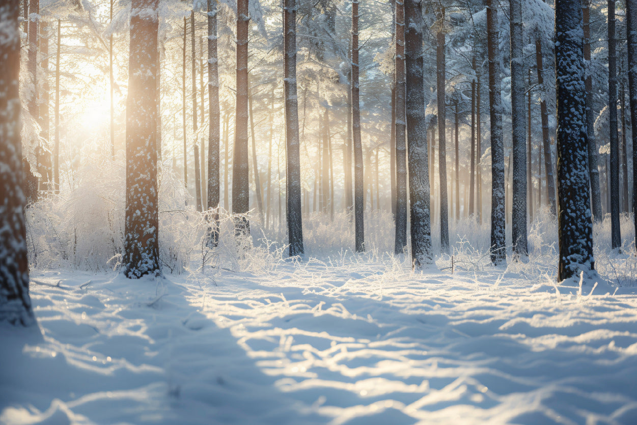 Snowy Forest with Trees Home Decor Premium Quality Poster Print Choose Your Sizes - Bella Home Decor