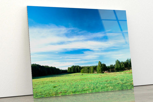 Tranquil Grassland at Sunrise Acrylic Glass Print Tempered Glass Wall Art 100% Made in Australia Ready to Hang