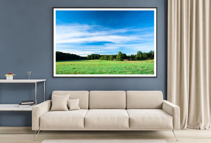 Tranquil Grassland at Sunrise Home Decor Premium Quality Poster Print Choose Your Sizes